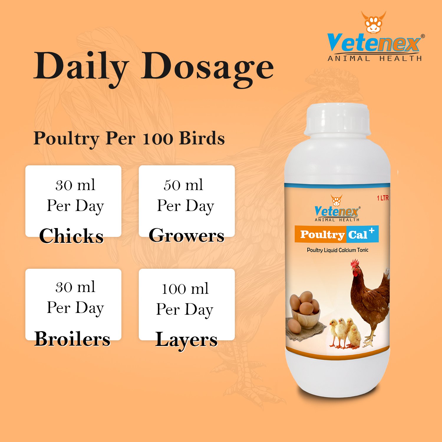 VETENEX Poultry Cal Plus - Calcium Tonic for Poultry, Birds & Chicken - 1LTR - Image 4