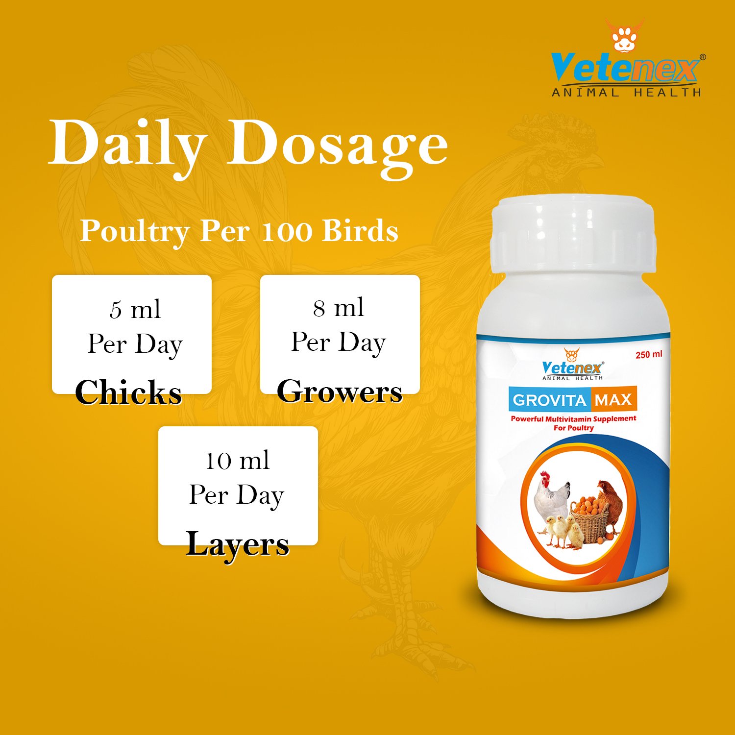 VETENEX Grovita Max - Multivitamin Supplement, Growth Promoter for Poultry, Birds & Chicken - 250ml - Image 4