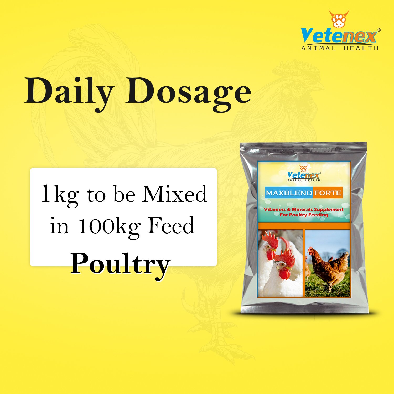 VETENEX Maxblend Forte - Poultry Growth Promoter with Vitamins & Minerals Supplement for Poultry, Birds & Chicken - 5Kg - Image 4