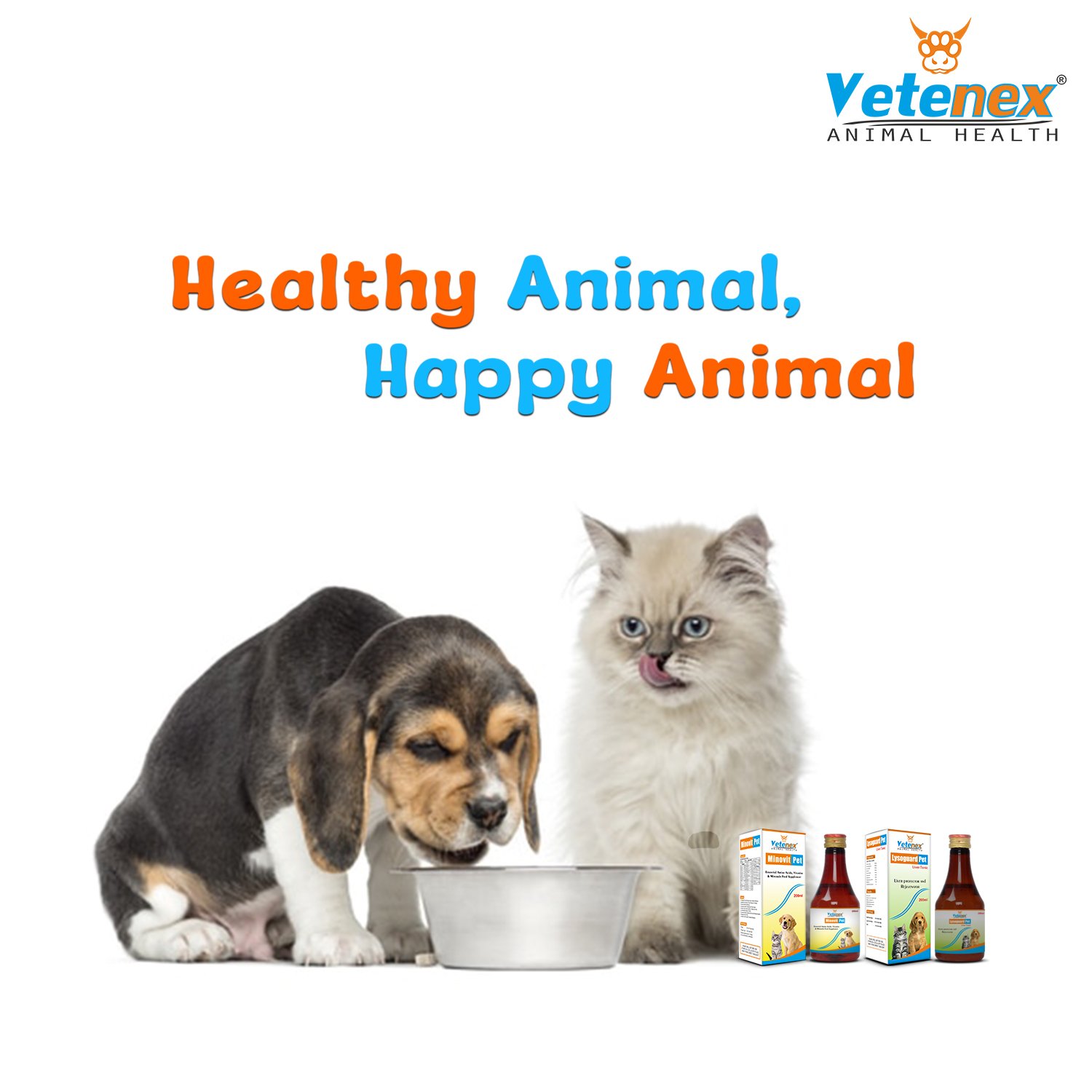 VETENEX Dog Liver Tonic Supplement + Essential Multivitamins, Amino Acids & Minerals Supplement Syrup with Antioxidants & Immunity Booster for Dogs, Puppy and Cats For Dog, Puppy and Cats - Combo Pack of 2 - Image 4