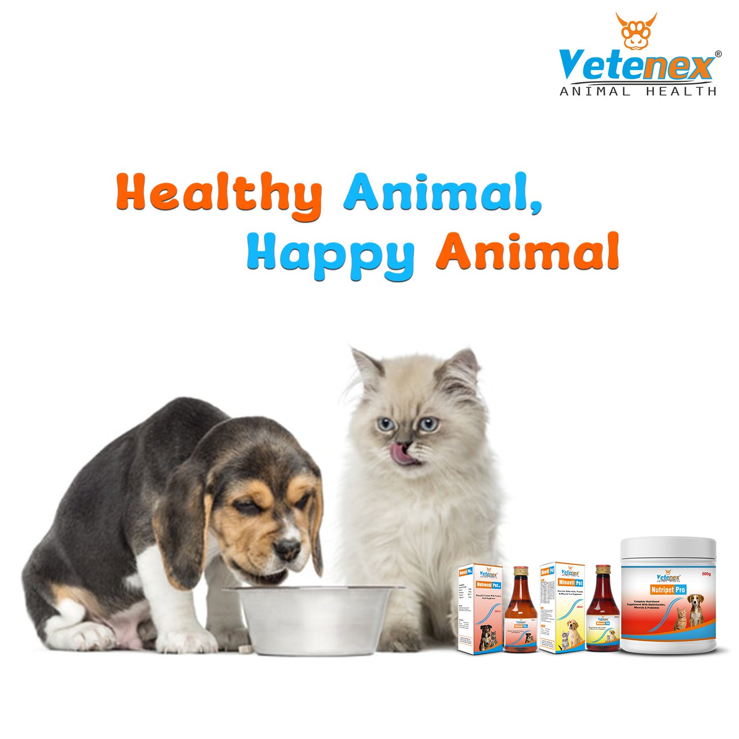 VETENEX Dog Supplement Growth Booster Powder + Calcium Supplement + Amino Acids & Trace Mineral Supplement - Combo Pack of 3 - Image 5