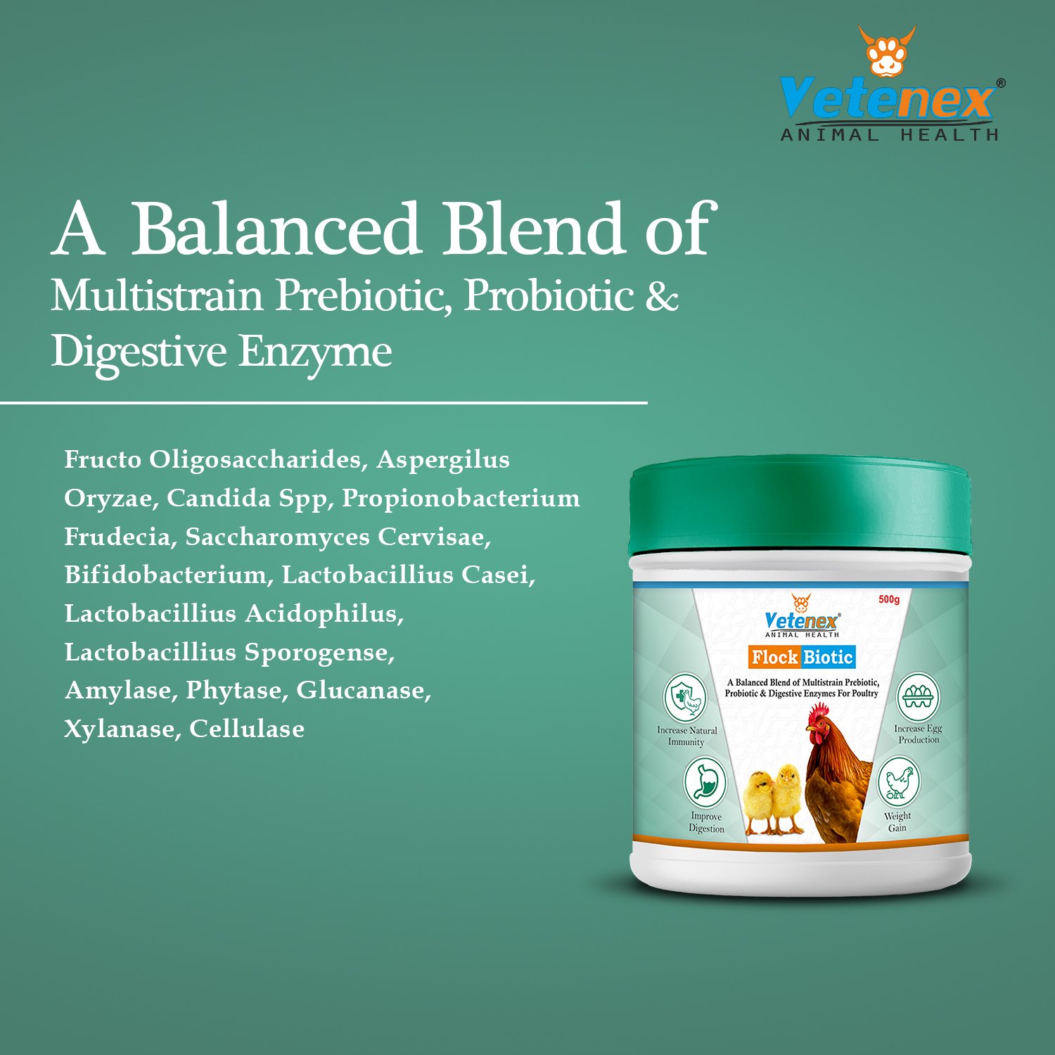 VETENEX Flock Biotic - Prebiotic, Probiotic & Enzyme Supplement Powder for Poultry, Birds & Chicken - 500g - Image 5
