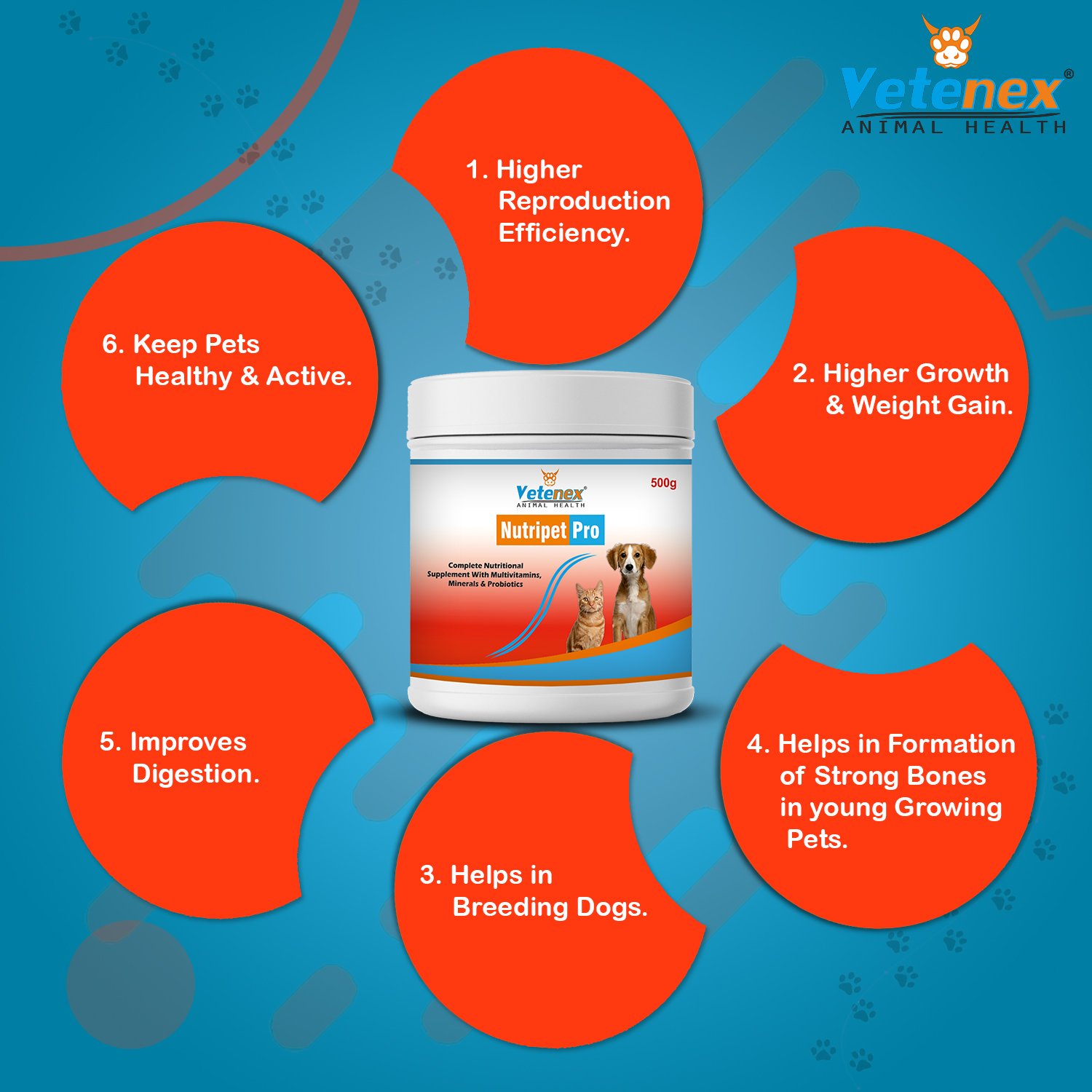 VETENEX Dog Supplement Liver Tonic, Skin Coat, Calcium Syrup, Dewormer, Vitamin B Complex, Growth Booster Combo - Pack of 6 - Image 5