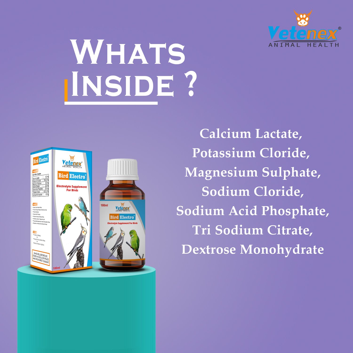 VETENEX Bird Electro Plus - Birds Electrolyte Supplement For Dehydration, Heat Stress & Loose Motion (100 ml x 2) Combo - Pack of 2 - Image 5