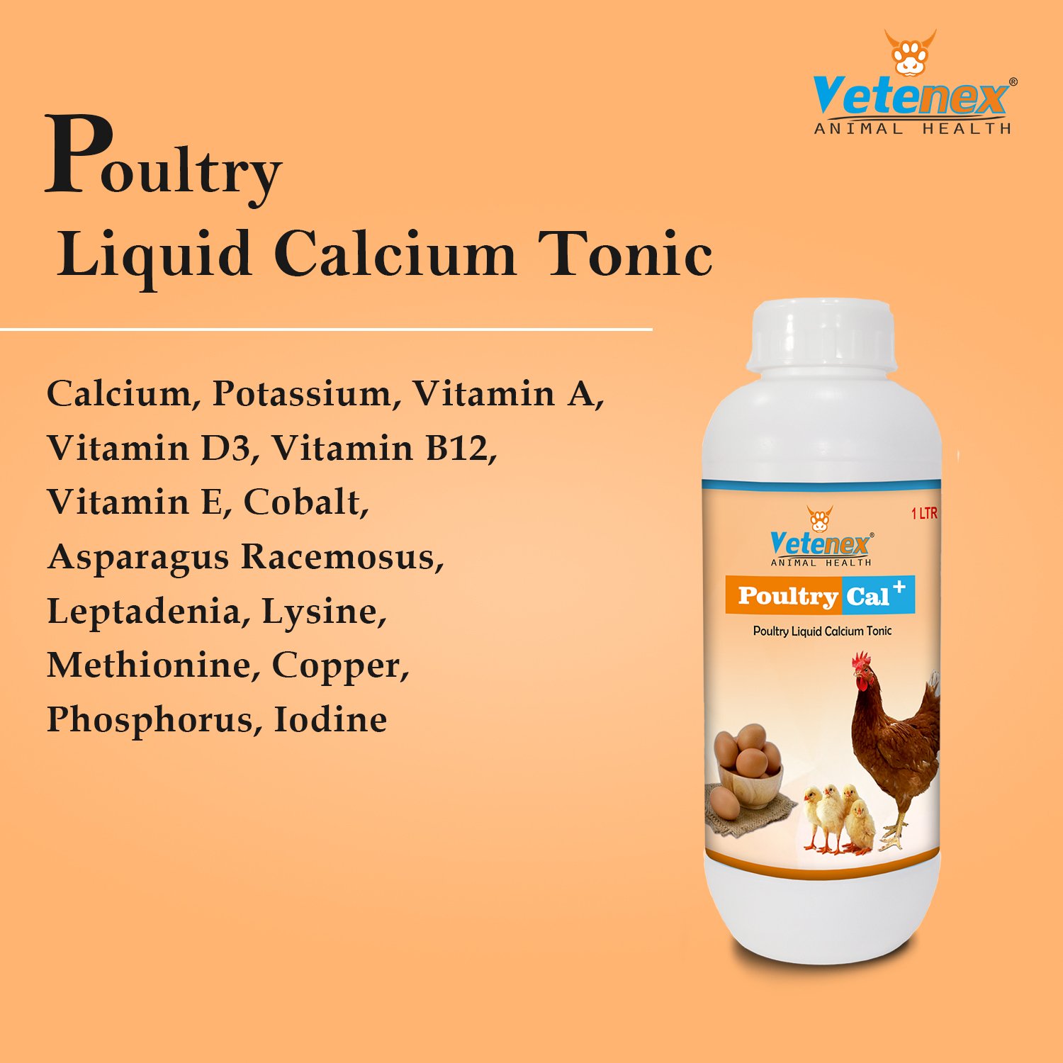 VETENEX Poultry Cal Plus - Calcium Tonic for Poultry, Birds & Chicken - 1LTR - Image 5