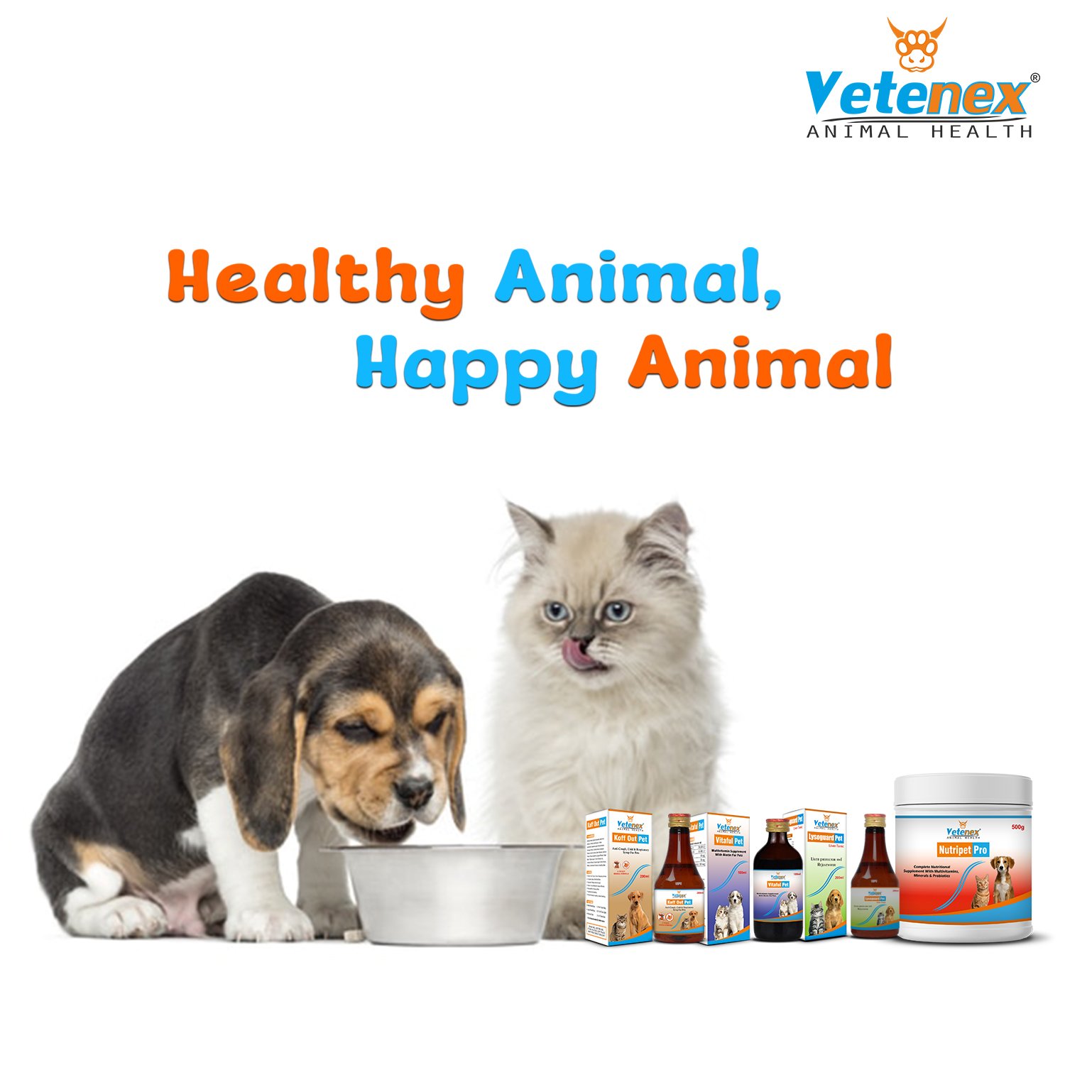 VETENEX Dog Supplement Multivitamin, Growth Booster Powder, Vitamin B Complex Supplement, Amino Acids & Trace Minerals Combo - Pack of 4 - Image 4