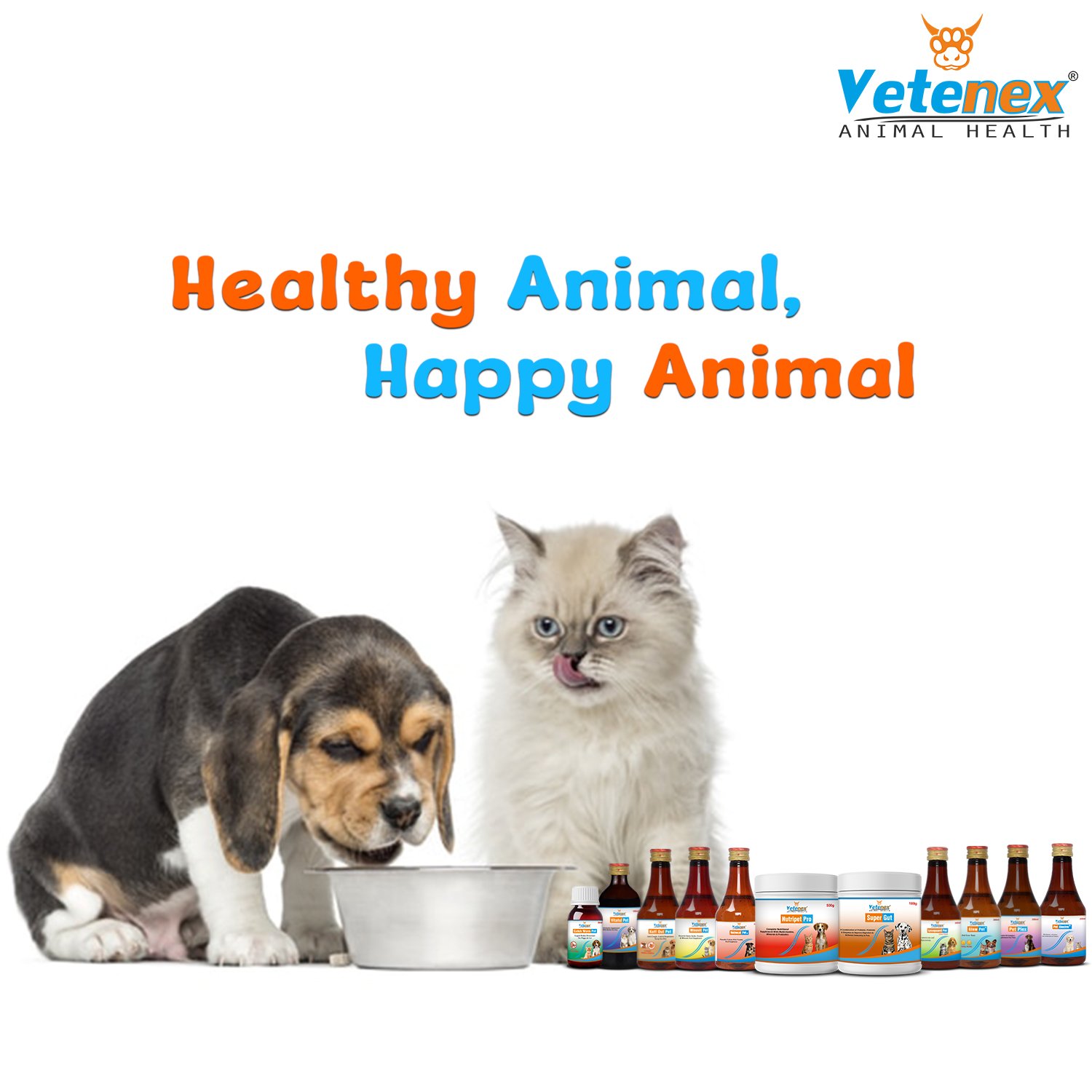 VETENEX Dog Supplement, Multivitamin, Liver Tonic, Skin Coat, Calcium Syrup, Electrolyte, Dewormer, Cough Syrup, Amino Acids, Minerals, Probiotics, Growth Booster Combo - Pack of 11 - Image 7