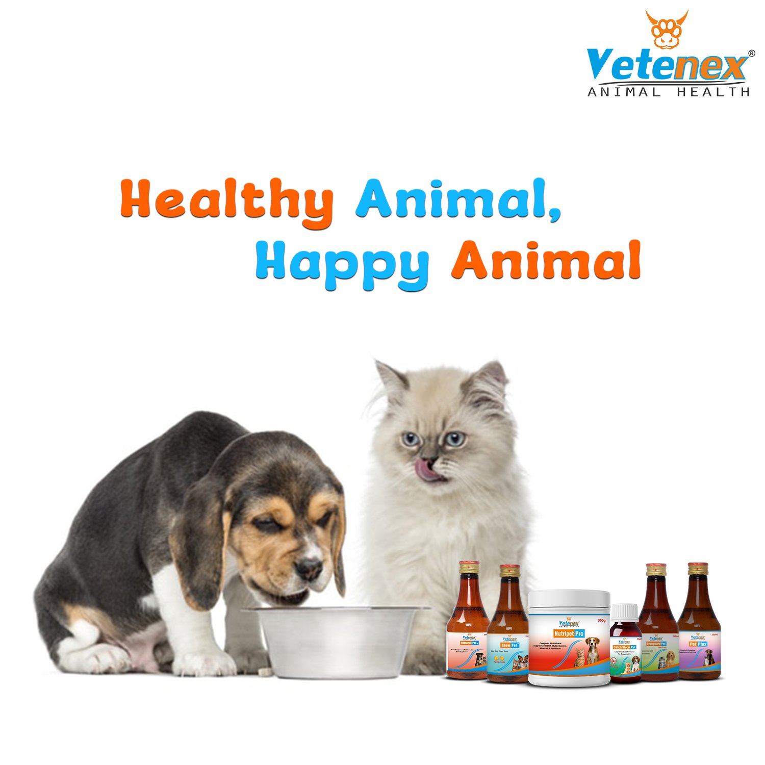 VETENEX Dog Supplement Liver Tonic, Skin Coat, Calcium Syrup, Dewormer, Vitamin B Complex, Growth Booster Combo - Pack of 6 - Image 8