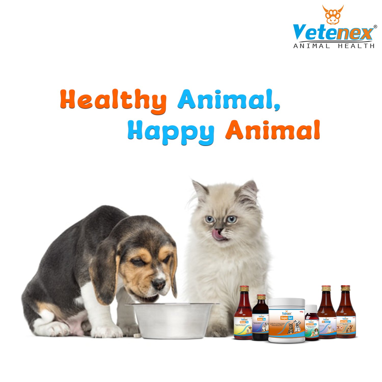 VETENEX Dog Supplement, Multivitamin, Electrolyte, Dewormer, Cough Syrup, Amino Acids, Probiotics, Combo - Pack of 6 - Image 8