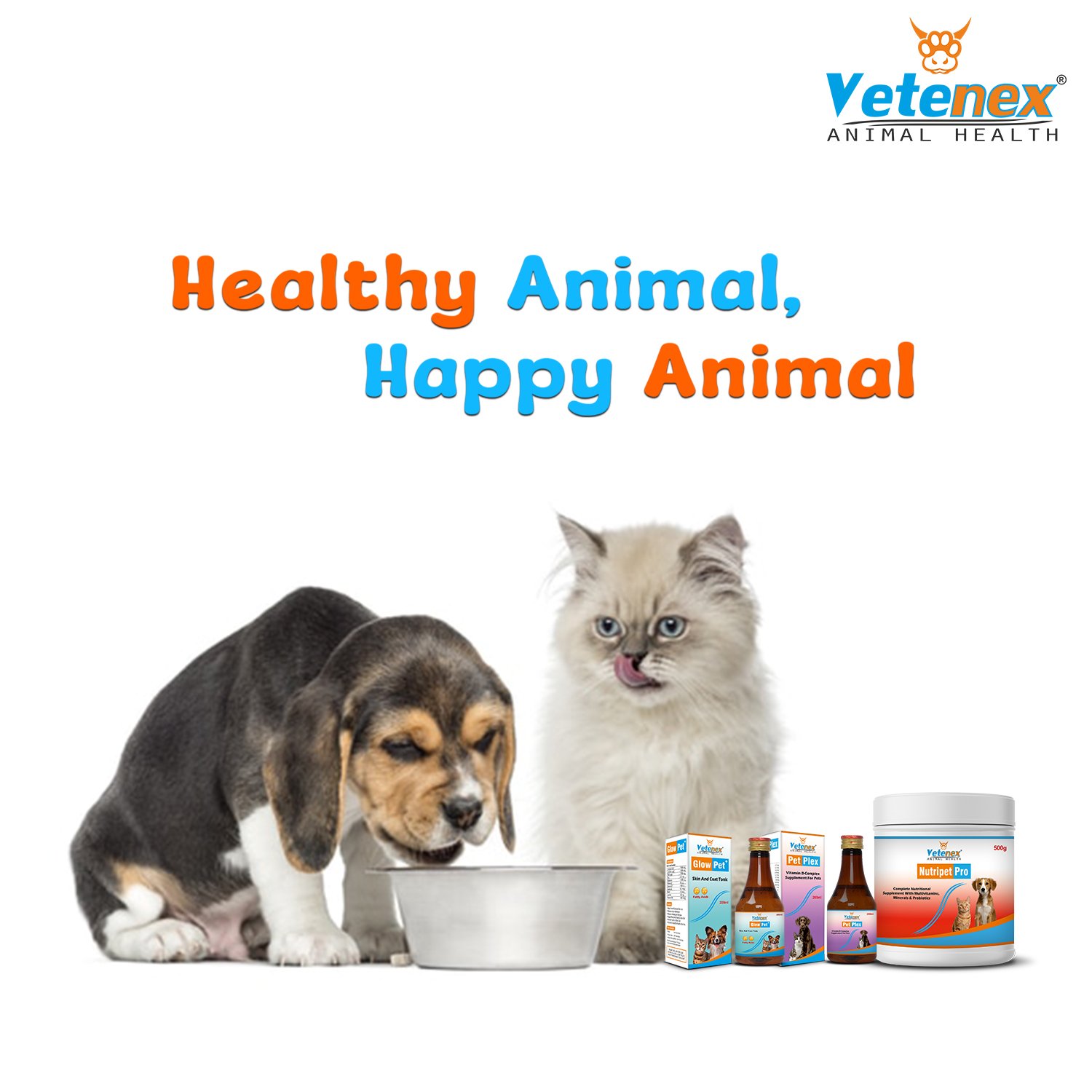 VETENEX Dog Supplement Growth Booster Powder + Skin & Coat Supplement + Vitamin B Complex Supplement - Combo Pack of 3 - Image 5